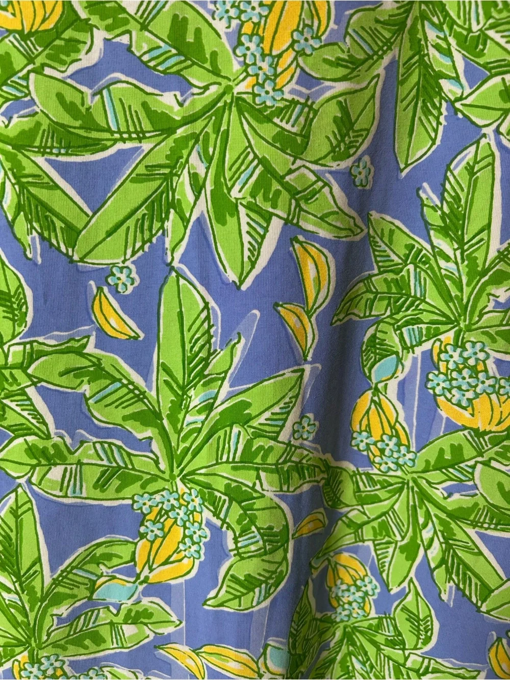 Blue & Green Tropical-Print Women's Swim Coverup Tunic
